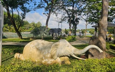 Bàu Thành: Dấu tích cổ ở Nam bộ từng là nơi huấn luyện voi chiến