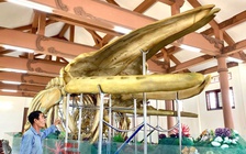 Vật thiêng của làng: Hai bộ xương ‘thần Nam Hải’ trên đảo Lý Sơn