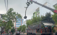 Lâm Đồng: Xe tải gắn cẩu va vào lưới điện 3 pha, tài xế tử vong