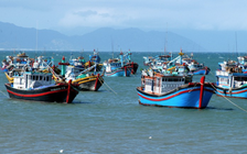 TP.HCM chuẩn bị sẵn sàng đón Đoàn thanh tra thẻ vàng IUU