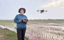 Nữ 'phi công' bảo vệ vựa lúa ở Tiền Hải