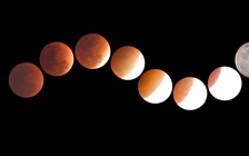 Chiêm ngưỡng ảnh chụp nguyệt thực ở TP.HCM đang gây sốt mạng xã hội