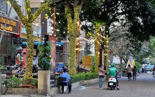 Cận cảnh cây xanh 'gánh' đèn trang trí, biển hiệu ở Hà Nội