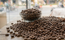 Nghiên cứu phát hiện cách điều trị ung thư, tiểu đường bằng cà phê