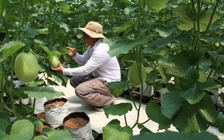 Quỹ hỗ trợ cộng đồng David Dương giúp người dân vươn lên làm giàu