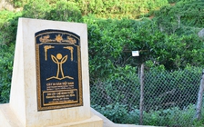 Nỗi niềm trà di sản: Shan tuyết Tà Xùa bình an giữa thiên đường mây