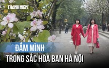 'Nàng thơ' xúng xính chụp hình cùng hoa ban Hà Nội