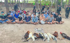 Công an TP.HCM triệt phá sới gà, khởi tố 22 người