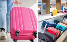 Vì sao nên tránh sử dụng vali màu sắc sặc sỡ khi đi máy bay?