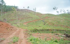 Truông Mây lưu dấu cuộc khởi nghĩa Chàng Lía