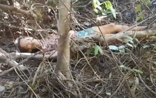 Mất tích 10 ngày, người phụ nữ được tìm thấy trong rừng sâu