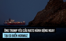 Ông Trump yêu cầu NATO sớm hành động tại eo biển Hormuz