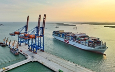 TP.HCM tính miễn thu phí hạ tầng cảng biển 3 năm, làm ngay từ tháng 4