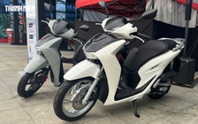 Nhu cầu mua sắm xe máy xăng của người Việt vẫn gia tăng đầu năm 2026