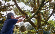 Trung Quốc, thị trường tiêu thụ lớn của Việt Nam