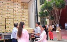 Thị trường Úc đón nhận bưởi Việt Nam