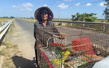 Cụ ông nhặt ve chai nuôi cả gia đình bệnh tật