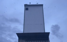 Nhà yến ở Gia Lai phát triển ồ ạt, nhiều người nuôi 'vỡ mộng'