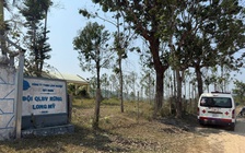 Ong tấn công tổ kiểm tra rừng, 1 người tử vong, 4 người cấp cứu