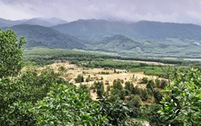 Dự án hơn 290 tỉ đồng bất động suốt 8 năm