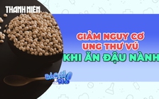 Giảm nguy cơ ung thư vú từ việc sử dụng đậu nành hợp lý