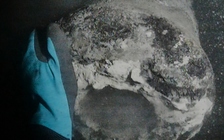 Tìm thấy soái hạm của Đan Mạch bị đánh chìm trong hải chiến 225 năm trước