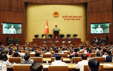 Cần đạo luật riêng cho kinh tế tư nhân