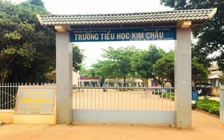 Cách chức nữ hiệu trưởng chỉ đạo giả mạo chữ ký để hợp thức hóa hồ sơ