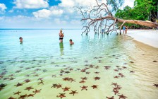 Tạp chí Mỹ gợi ý những điều tuyệt vời nhất du khách nên làm ở Việt Nam