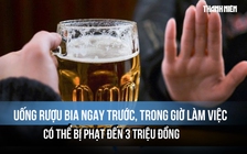Uống rượu bia ngay trước, trong giờ làm việc có thể bị phạt đến 3 triệu đồng