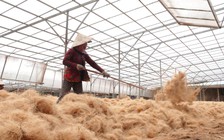 Nghề dệt chỉ xơ dừa 'giữ chân' phụ nữ miền Tây thế nào?