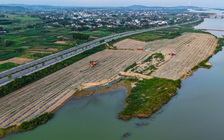 Mưu sinh trên sông Trà: Đời nông dân 'du mục'