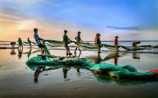 'Đi thành phố' - nhịp sống lâu đời của người xứ biển