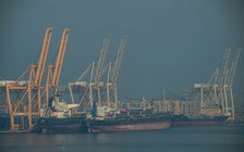 UAE bất ngờ thông báo rời khỏi Tổ chức Các nước xuất khẩu dầu mỏ