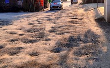 Khổ sở vì đường nâng cấp rồi bỏ dở