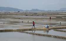 Trớ trêu ở Sa Huỳnh: Giá muối tăng nhưng diêm dân lại… không còn muối