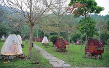 Ngôi tịnh xá dưới chân núi Ngàn Nưa: Hành trình hồi sinh từ phế tích