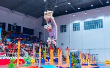 'Tinh hoa lân sư rồng' lần đầu hội tụ tại quảng trường Lâm Viên