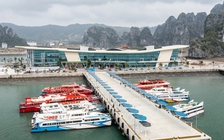 'Ngăn sông, cấm chợ' phiên bản cảng Ao Tiên