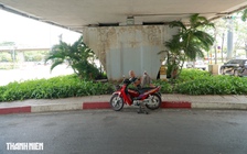 TP.HCM nóng hầm hập: Bóng cây, gầm cầu thành điểm dừng chân tránh nắng, nghỉ trưa