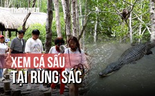 Bất ngờ với khu rừng nguyên sơ ngay tại TP.HCM