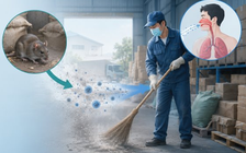 Bộ Y tế thông tin về xét nghiệm virus Hanta