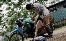 Hà Nội chỉ đạo nóng vụ thú y để thương lái đóng dấu kiểm dịch thịt lợn