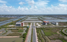 Khu tôm công nghệ cao 338 tỉ đồng tại Cà Mau bây giờ ra sao?