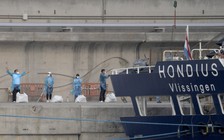 Cập nhật ổ dịch vi rút Hanta