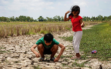 95% El Nino sắp xuất hiện, nhiều nơi nắng nóng gia tăng