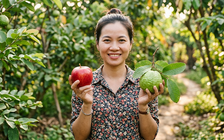 Bác sĩ tiết lộ yếu tố quyết định giá trị dinh dưỡng của trái cây