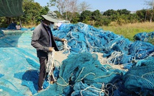 Xóm cắt lưới, phá dây thừng ở TP.HCM