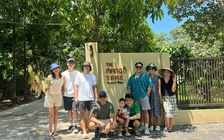 Bỏ việc lương cao về làm du lịch giữa vườn xoài, khách đến không ngừng