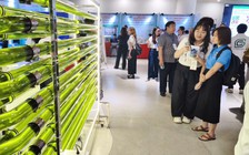 Thị trường công nghệ xanh Việt Nam tăng tốc